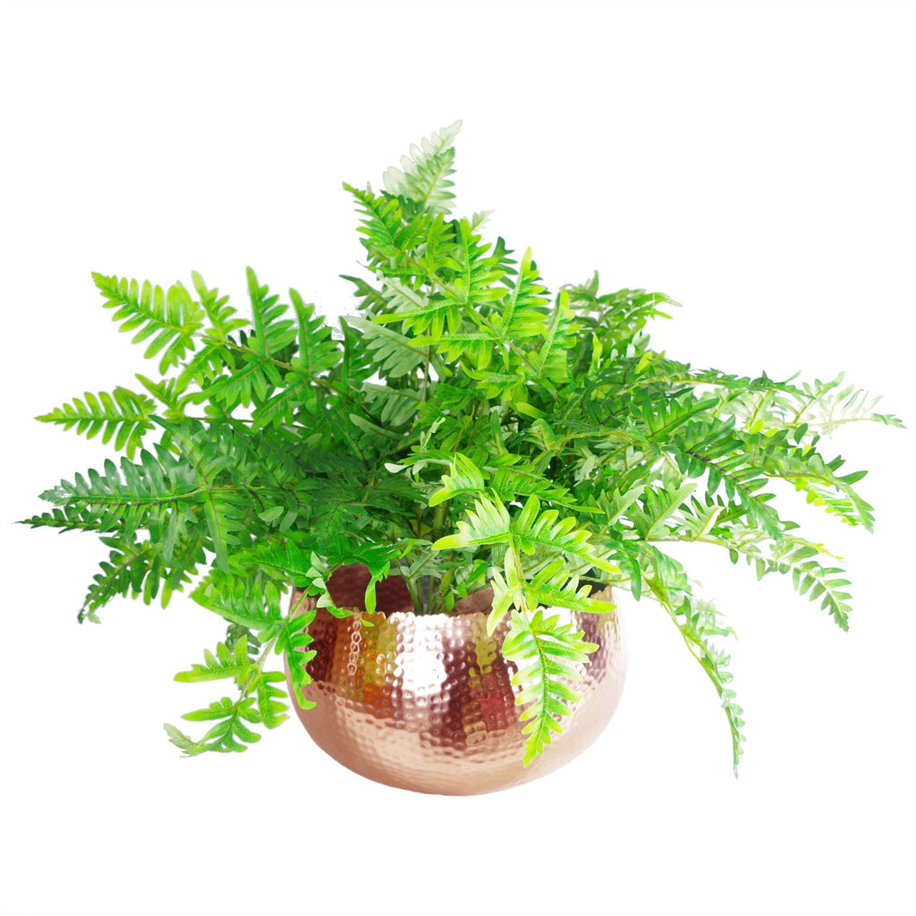 Leaf XL Metal Bowl Planter 32 x 20cm Hammered Copper Colour Curvy Edge