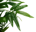 90cm Fat Leaf Artificial Bamboo Plants Trees