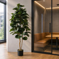 180cm Artificial Fiddle Fig Deluxe Tree