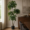 150cm Radermachera Realistic Artificial Tree