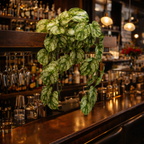 35cm Artificial Trailing Light Green Plant