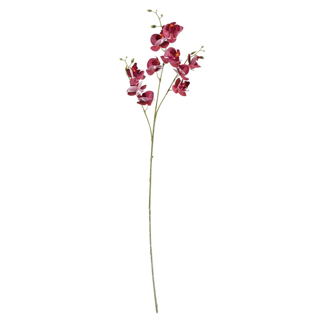 65cm Artificial Mixed Wild Orchid and Ferns Glass Vase