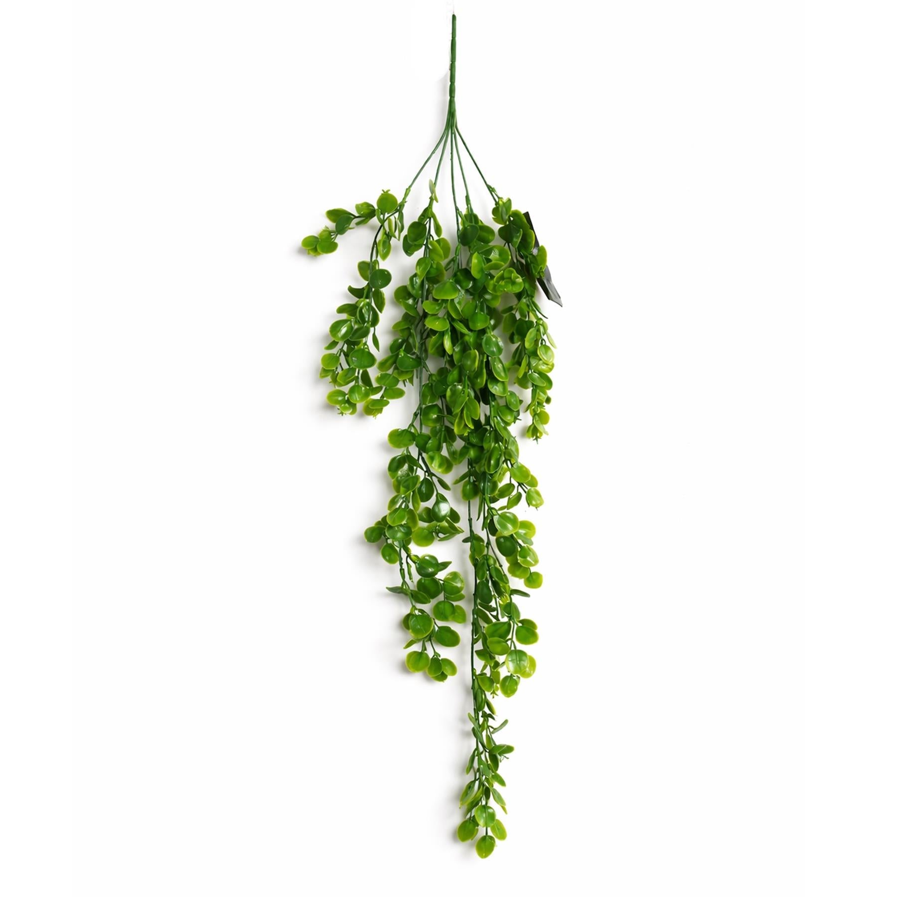 75cm Artificial Trailing Round Leaf Foliage Plant Classic Gloss Green