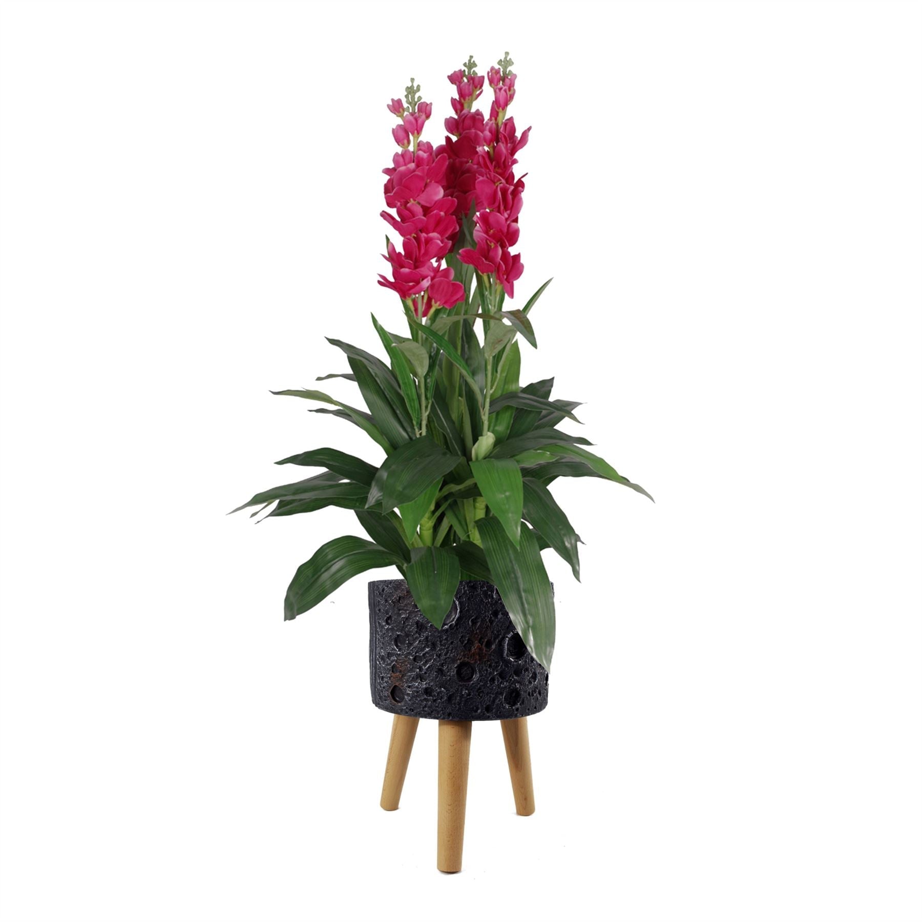 x 24cm Large Lunar Black Planter 35cm