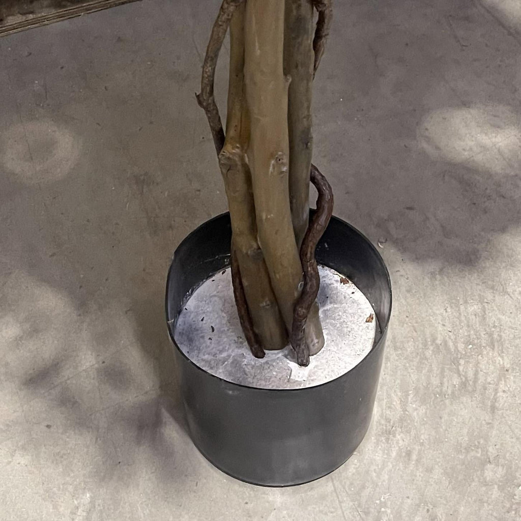 180cm Artificial Fire Retardant Black Olive Tree and Natural Trunk
