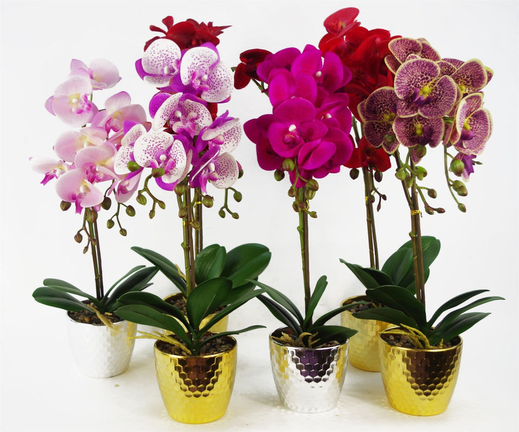 50cm Phalaenopsis Orchid Artificial Dark Red Gold Pot