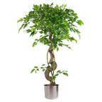 Artificial Twisted Trunk Japanese Fruticosa Style Ficus Tree 120cm