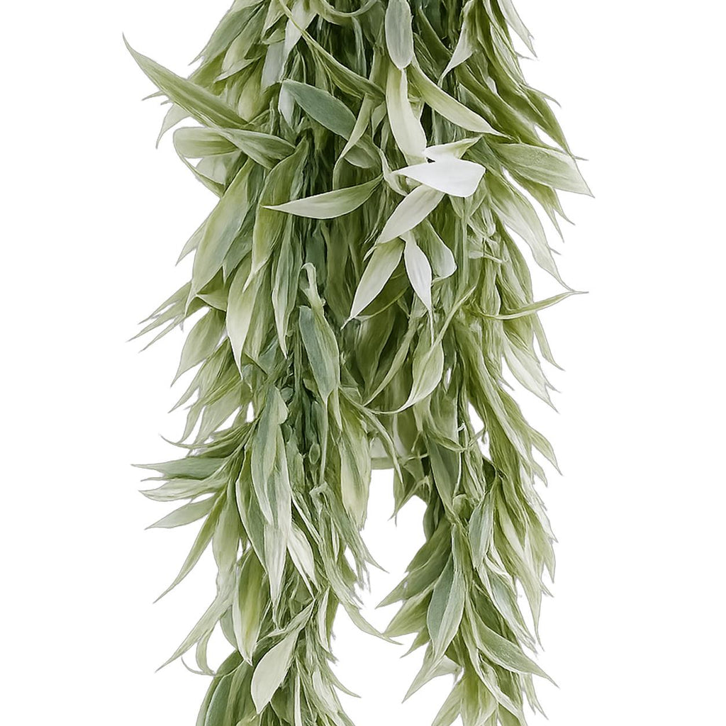 80cm Artificial Italian Ruscus Hanging Plant with Foliage Light Green