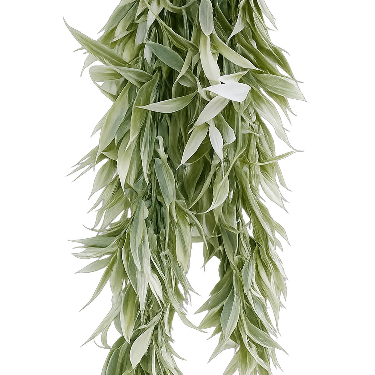 80cm Artificial Italian Ruscus Hanging Plant with Foliage Light Green