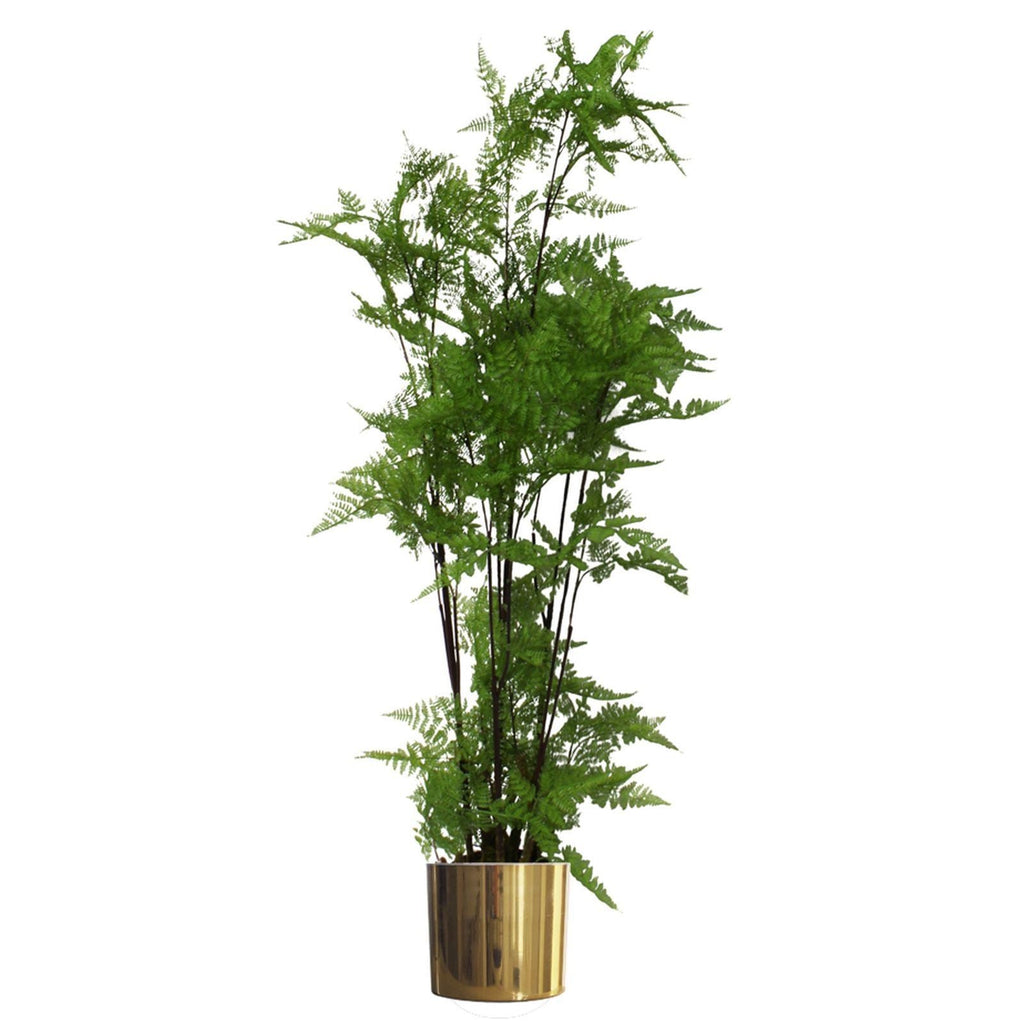 150cm Artificial Moss Base Fern Foliage Plant with Gold Planter