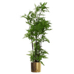 150cm Artificial Moss Base Fern Foliage Plant with Gold Planter