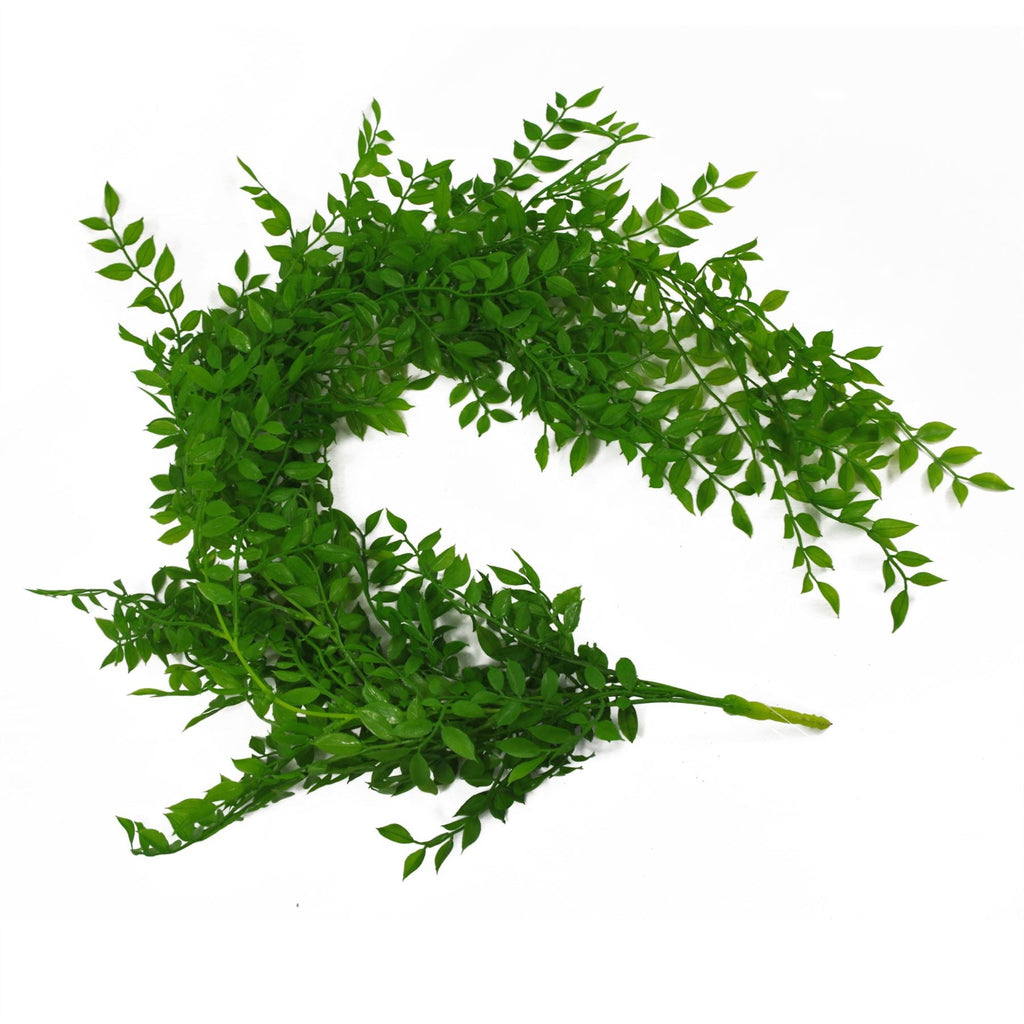 100cm Artificial Hanging String of Pearls Fern Plant Light Green
