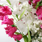 85cm Artificial Gypsophila White Stem