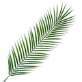 100cm Realistic Artificial Palm Leaf