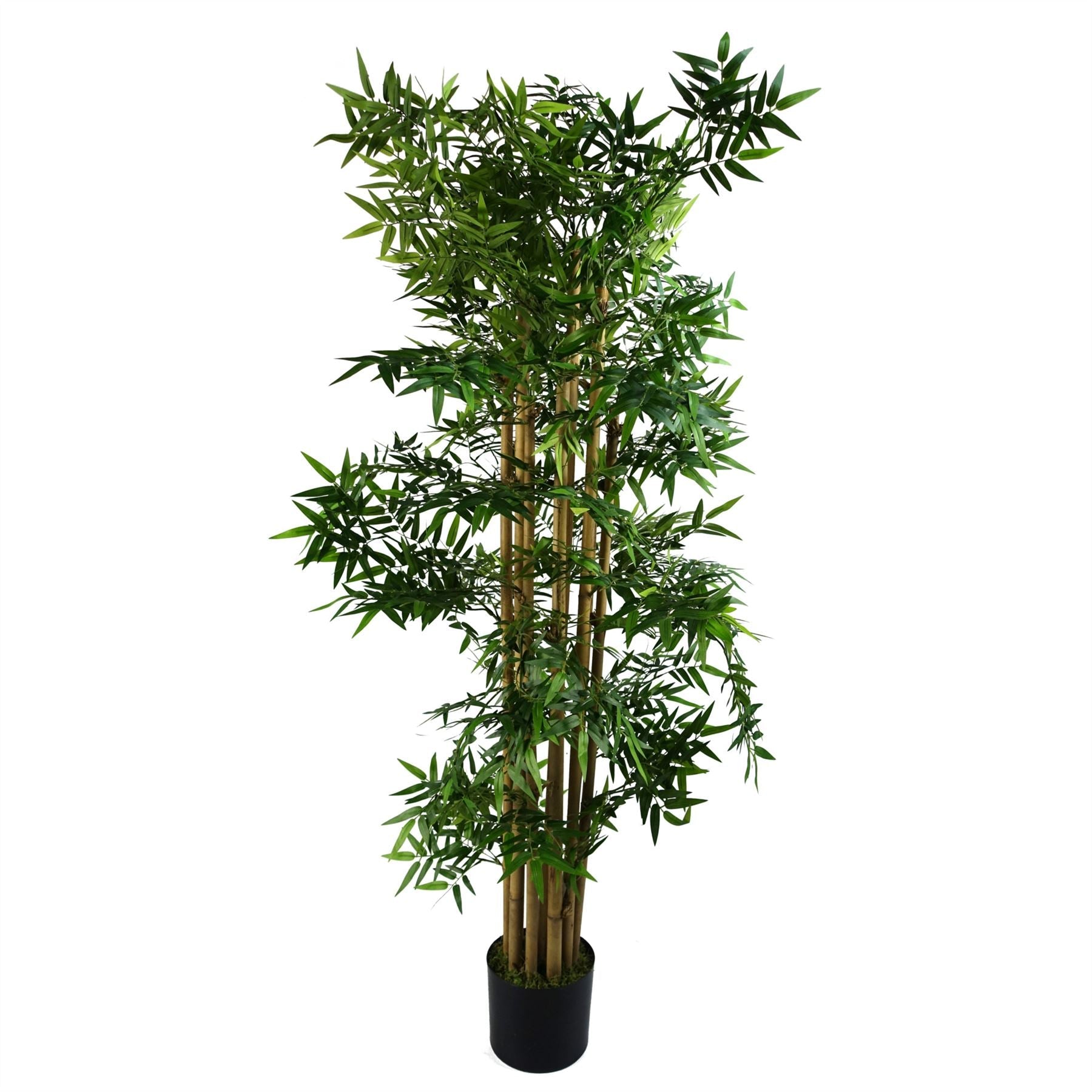 Artificial 150cm Oriental Bamboo Plant
