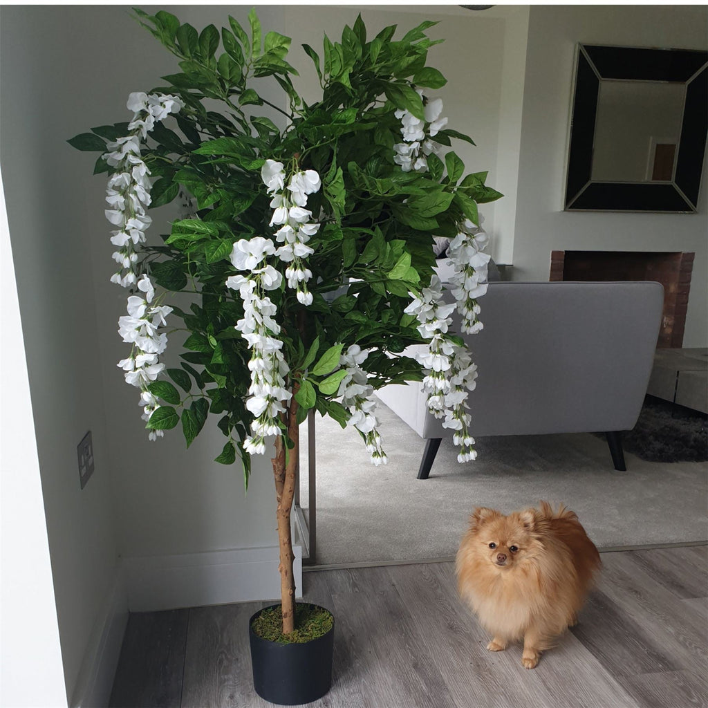 Artificial 130cm Luxury Wisteria Tree White Flowers Premium Range