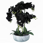 60cm Orchid Artificial Black White Ceramic Planter