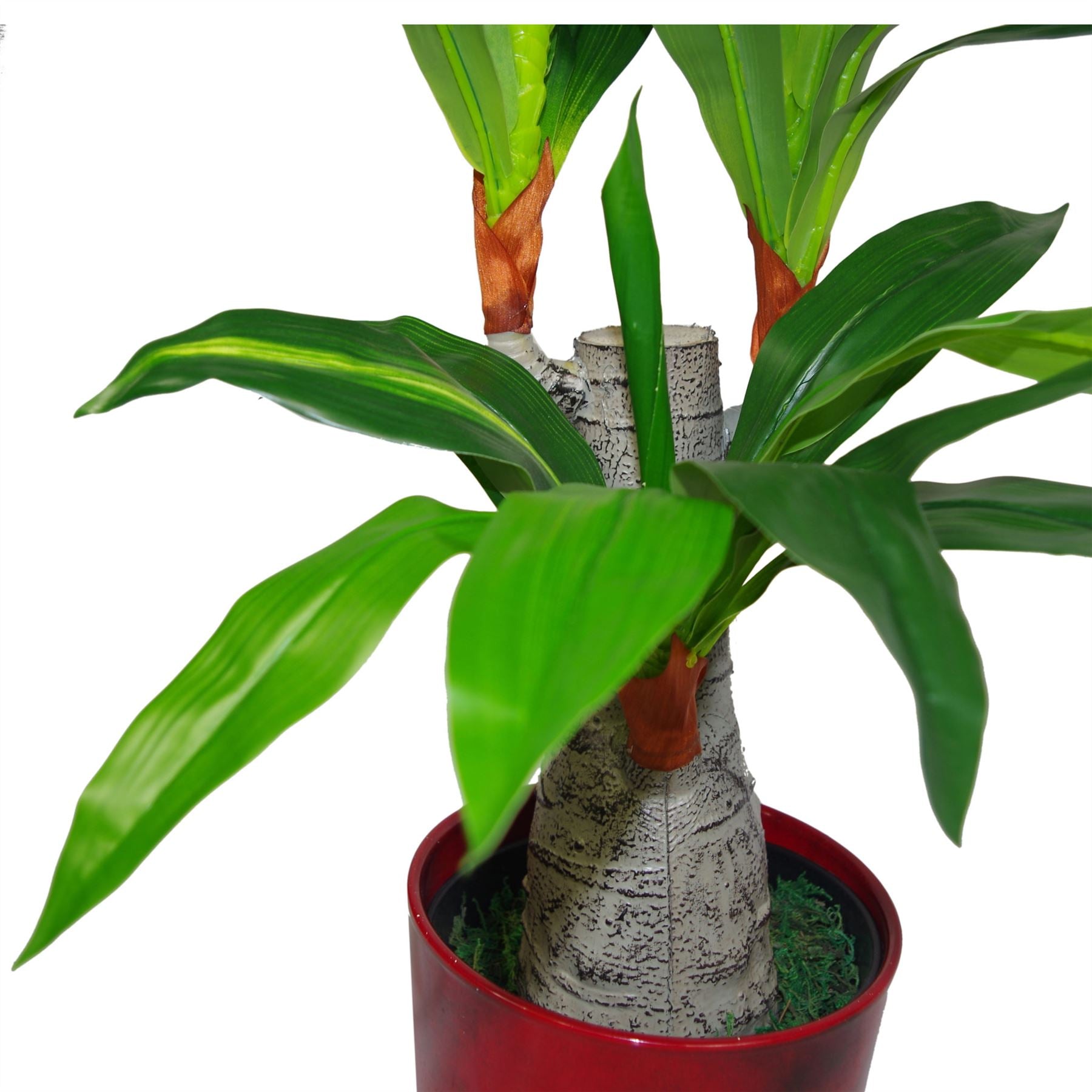 75cm Artificial Dracaena Plant Wide Trunk Triple Branch