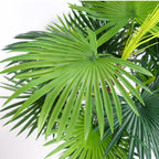 Artificial 90cm Fan Palm Tree
