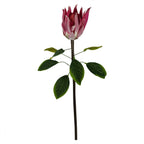 65cm Artificial Protea Sugarbush Flower Stem Pink