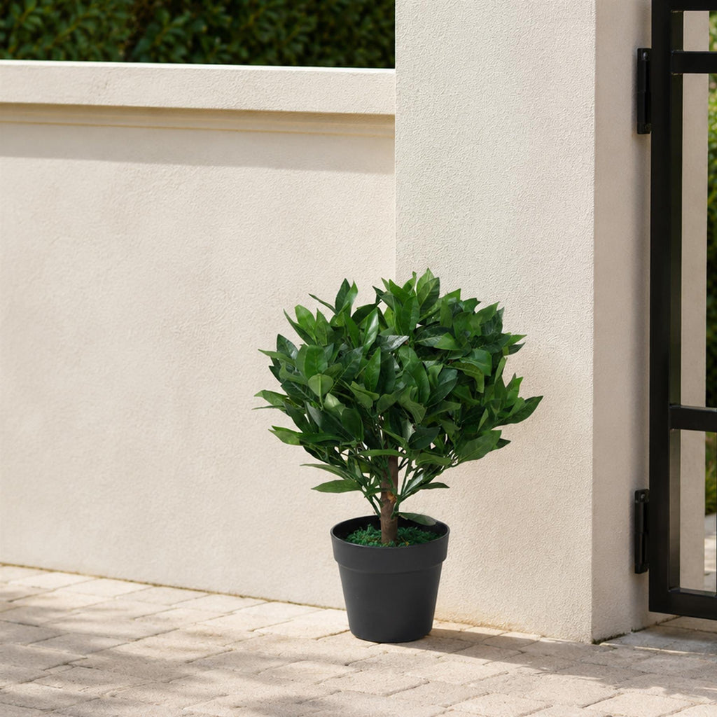 50cm Dwarf Artificial Bay Tree Laurel Topiary Bush