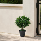 50cm Dwarf Artificial Bay Tree Laurel Topiary Bush