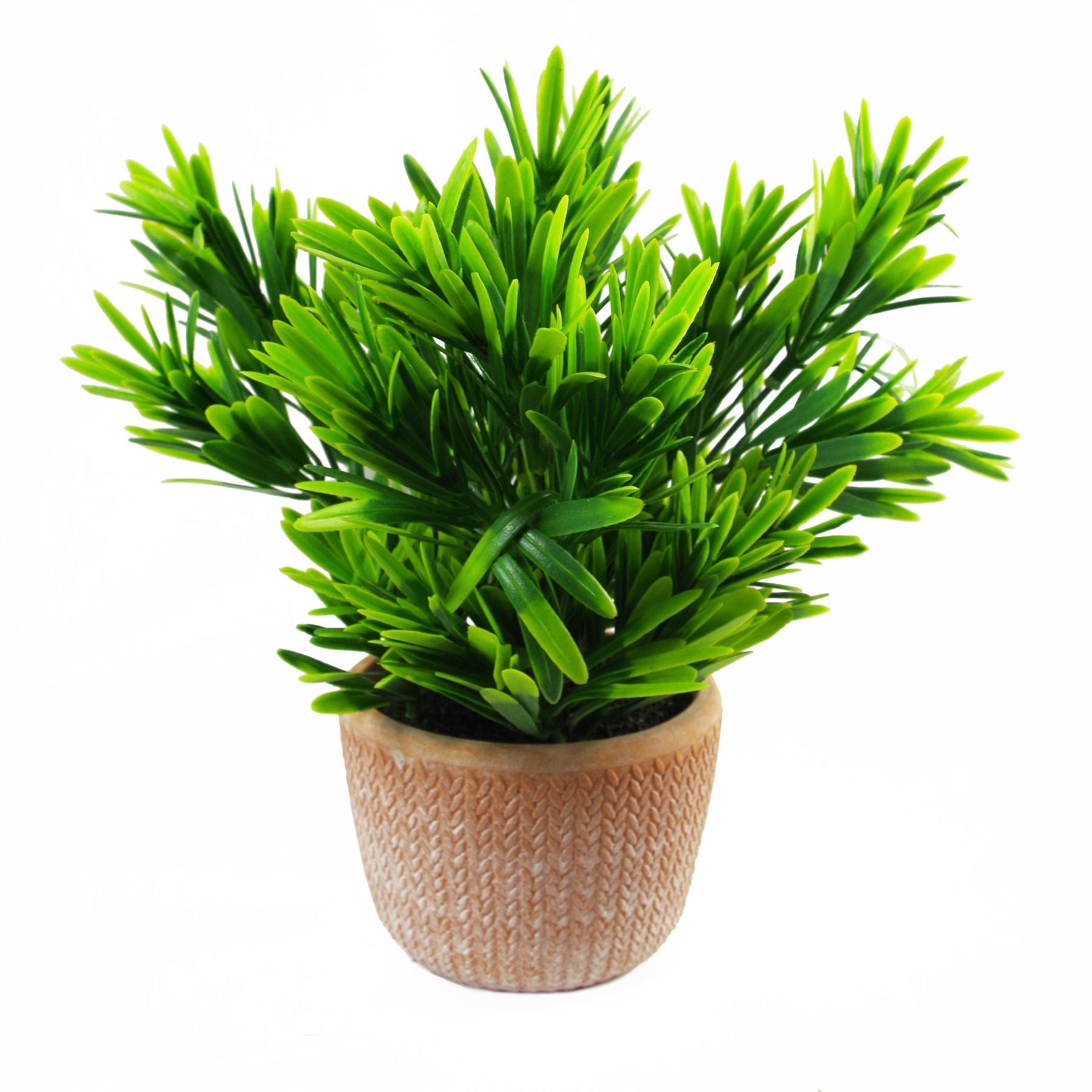 22cm Artificial Honey Plant Dark Green in Terracotta Pot