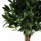 120cm Artificial Pair of Bay Tree Laurel UV Resistant Outdoor Topiary