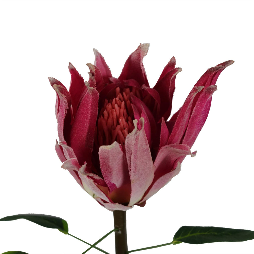 65cm Artificial Protea Sugarbush Flower Stem Pink
