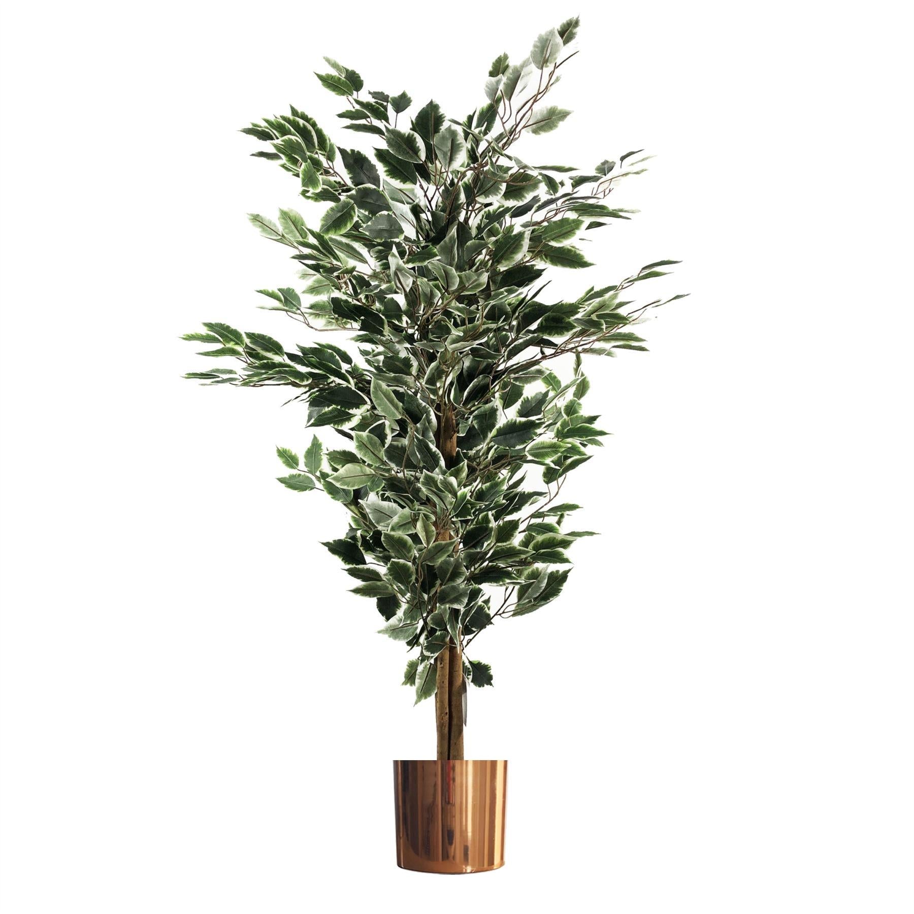 130cm Artificial Variegated White/Green Ficus Tree Copper Planter