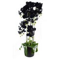 110cm Artificial Black Orchid Plant Artifcial 41 REAL TOUCH flowers