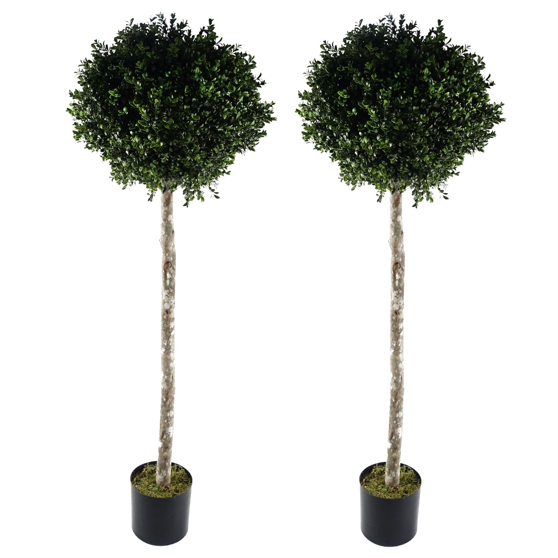 Artificial 140cm Pair of Buxus Ball Tree UV Resistant Outdoor Topiary
