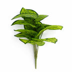 60cm Artificial Caladium Stem Plant Bright Green Variegated Foliage