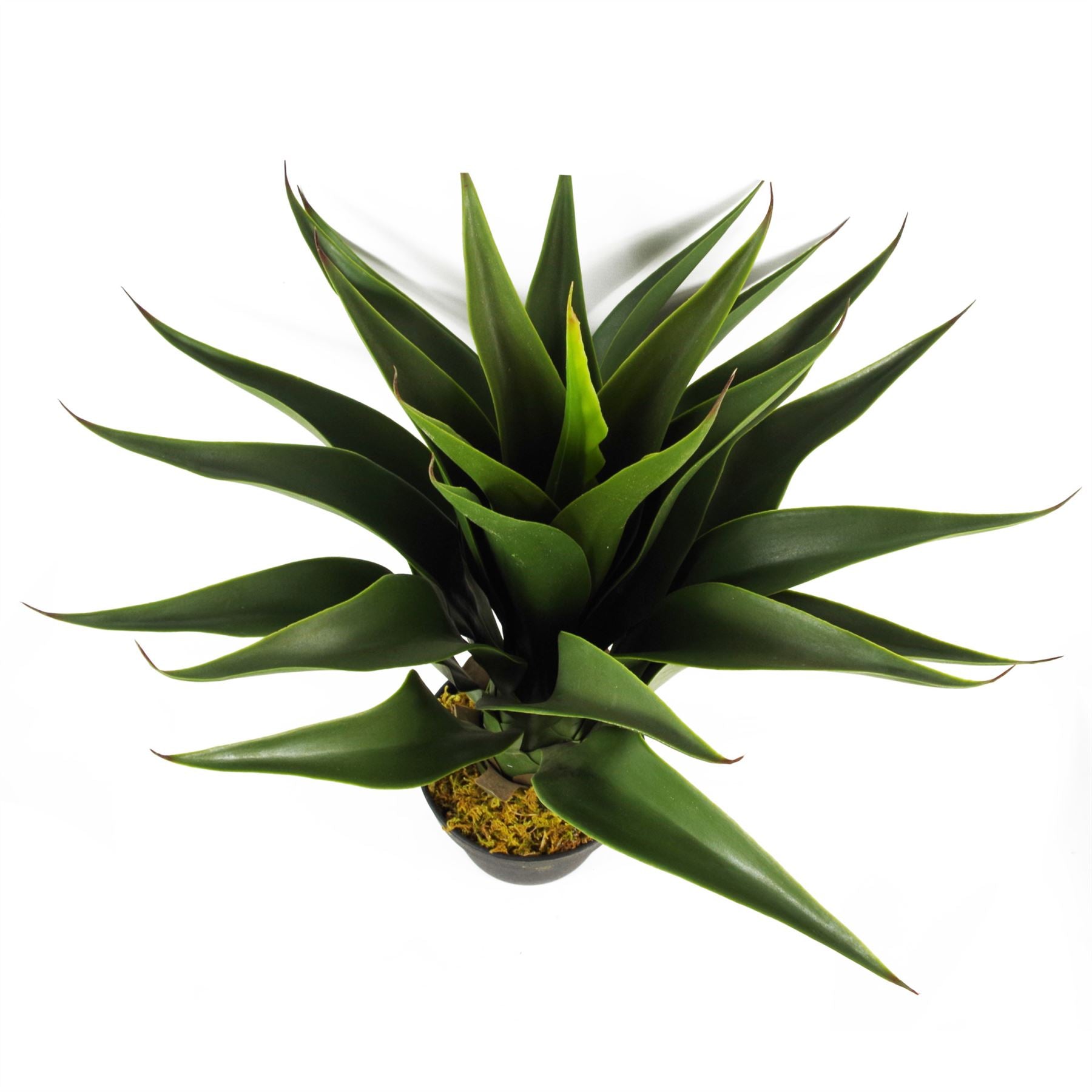 Artificial 55cm Yucca Plant