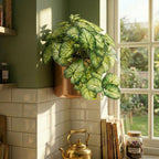 25cm Artificial Trailing Variegated Caladium Vine Plant Dark Green