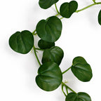 160cm Artificial Round Pilea Leaf Garland Hanging Decoration