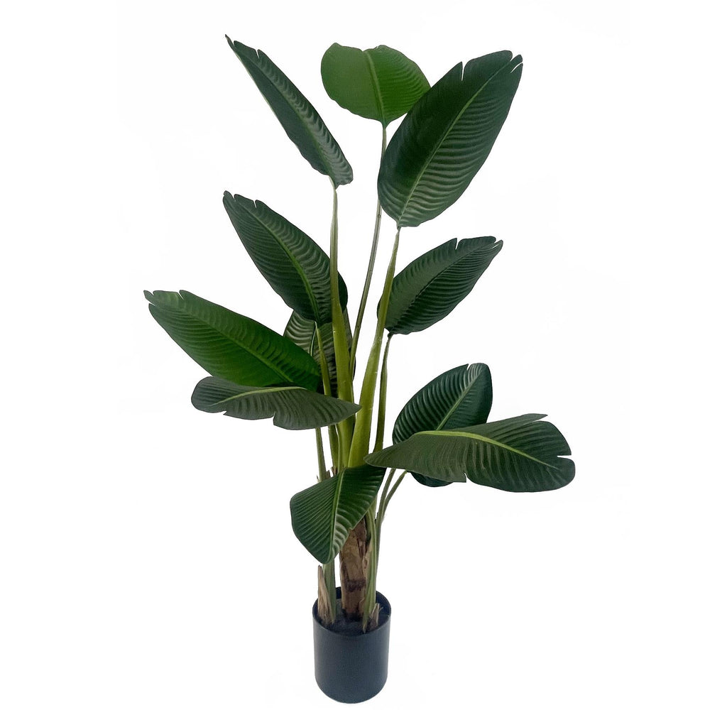 150cm Artificial UV Traveller Banana Palm Tree