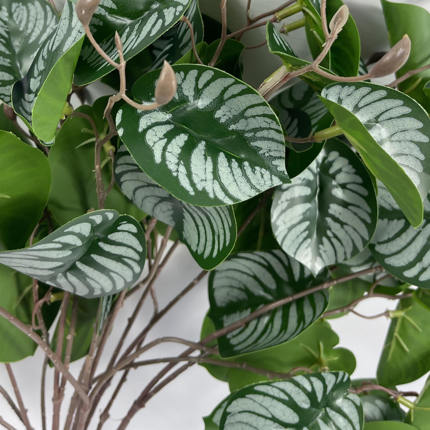 70cm Artificial Zebra Foliage