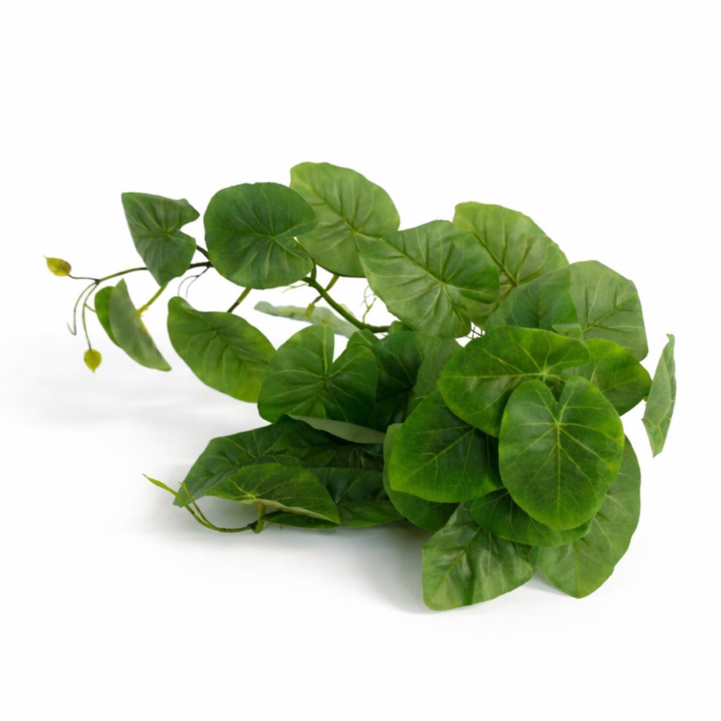 25cm Artificial Trailing Arrowhead Vine Plant