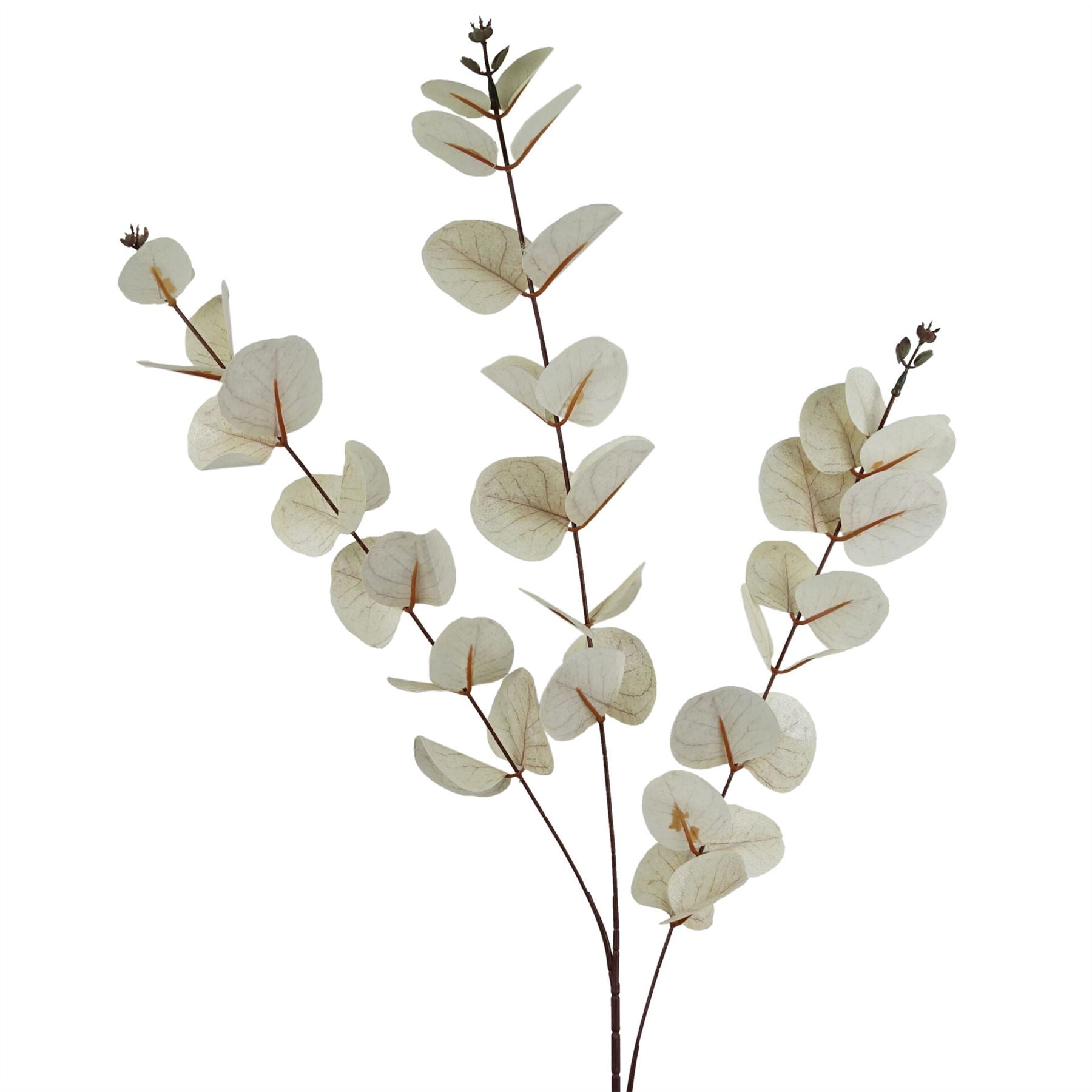 80cm Artificial White Eucalyptus Foliage Stem