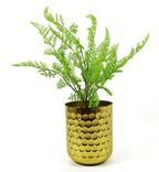 50cm Artificial Southern Wood Fern Bush Dark Green Plant