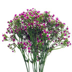 55cm Artificial Gypsophila Pink Stem