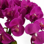 85cm Artificial Deluxe Bush Orchid Dark Pink
