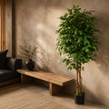 150cm Artificial Ficus Tree