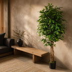 150cm Artificial Ficus Tree