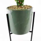40cm Artificial Fern with Ceramic Planter Stand