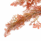 80cm Artificial Coral Fern Trailing Plant Autumn Orange Foliage
