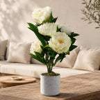 55cm Artificial White Peony Plant