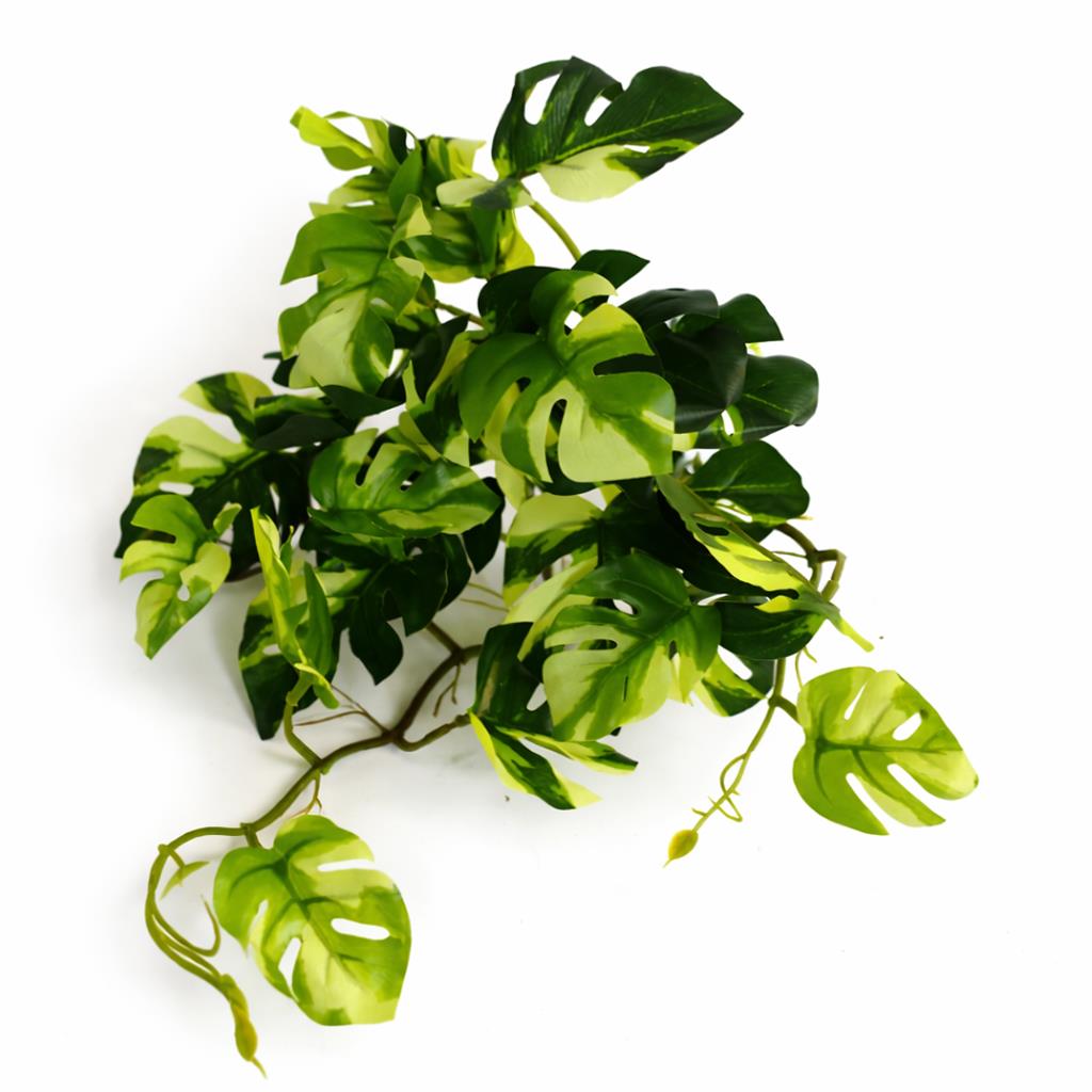 25cm Artificial Trailing Variegated Monstera Vine Plant