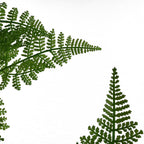 150cm Artificial Moss Base Fern Foliage Plant with Gold Planter